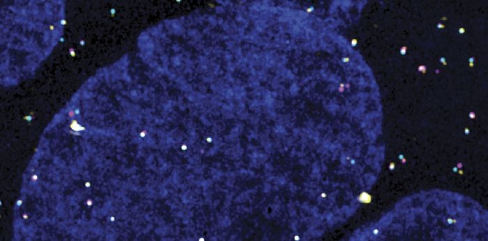 mRNP conformation imaging
